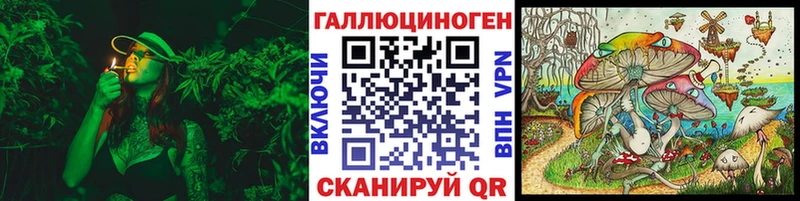 Купить где  Корсаков  Псилоцибиновые грибы мухоморы 